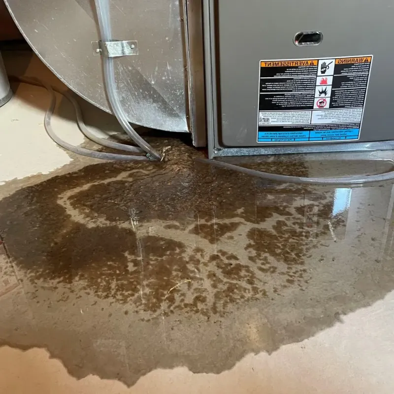 Pipe Burst and Leak Restoration in Wirt County, WV
