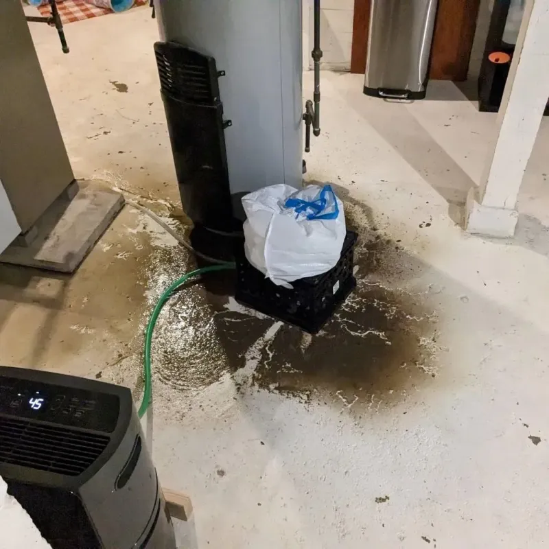 Sewage Backup Cleanup Service in Wirt County, WV